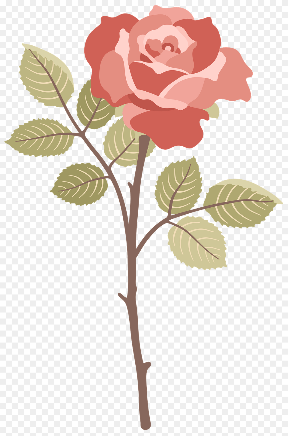 Red Rose Clipart, Flower, Plant, Pattern, Art Png Image