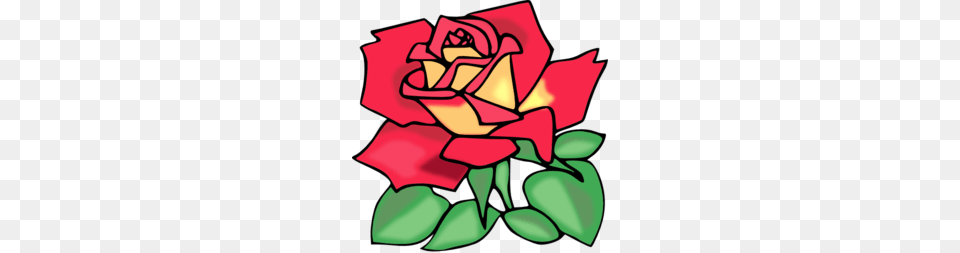 Red Rose Clipart, Flower, Plant, Art, Dynamite Png