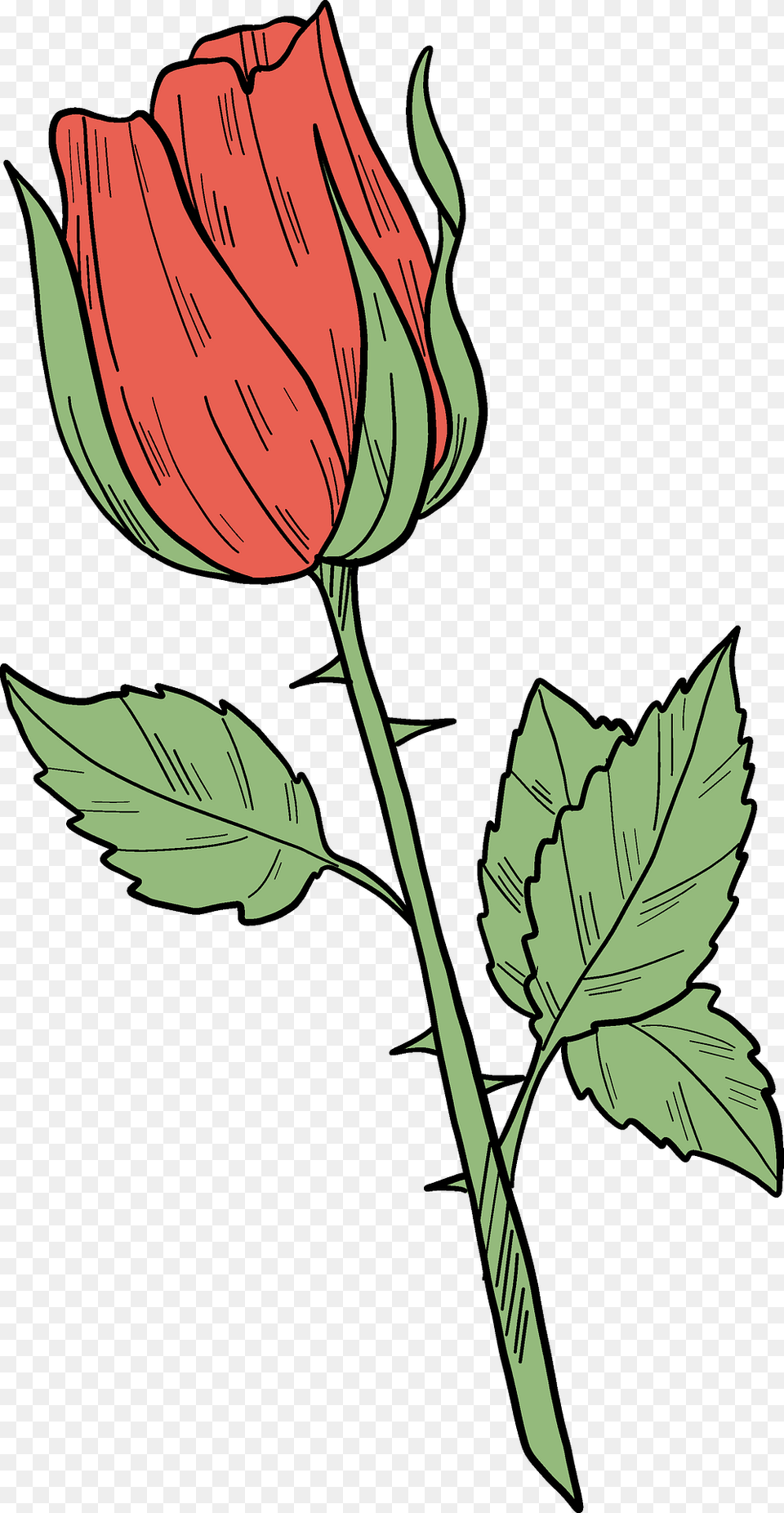 Red Rose Clipart, Flower, Plant, Leaf, Art Free Transparent Png