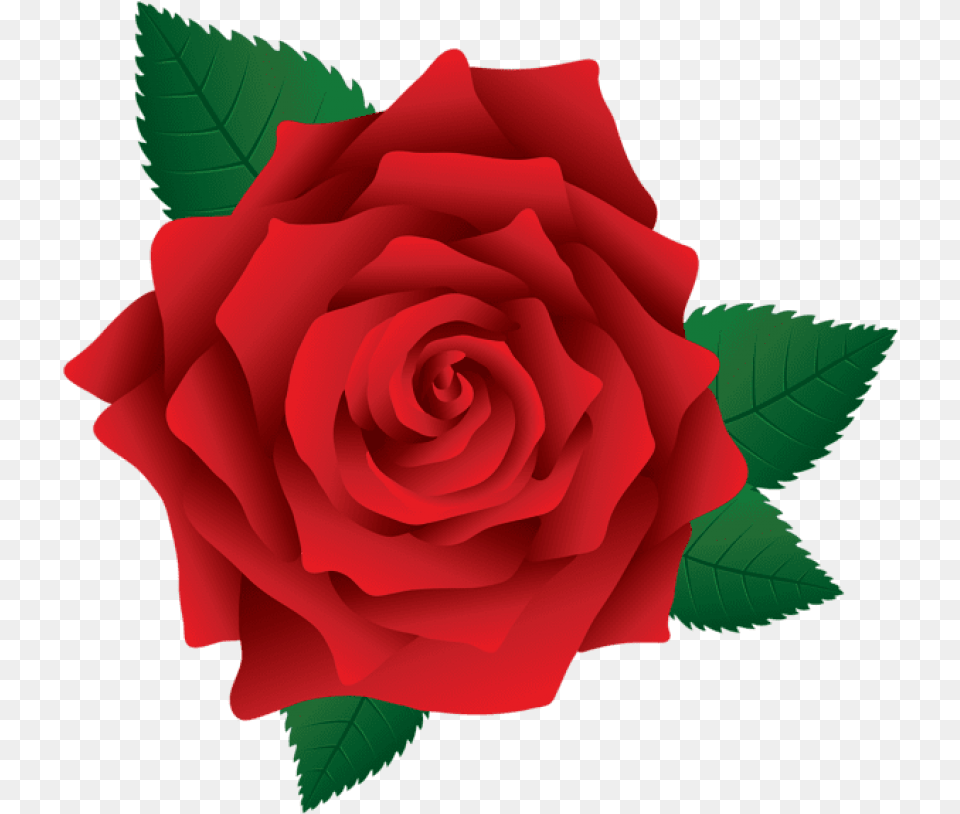 Red Rose Clipart, Flower, Plant Free Png Download