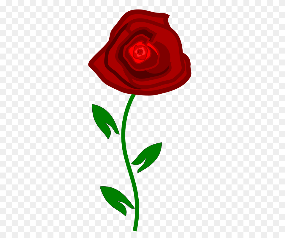 Red Rose Clipart, Flower, Plant, Food, Ketchup Png