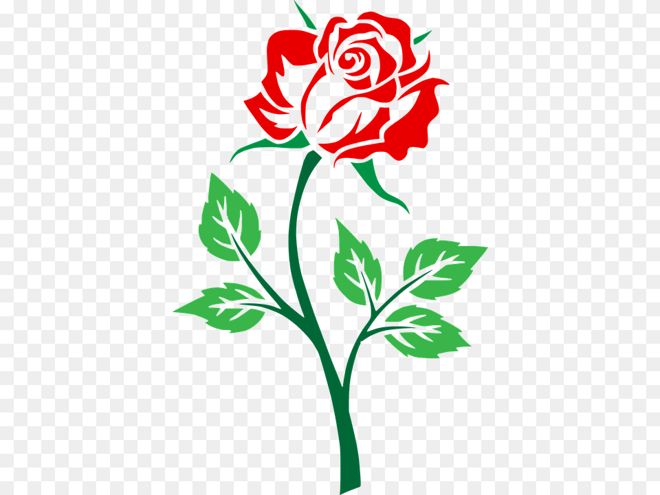 Red Rose Clipart, Flower, Plant, Pattern, Person Png