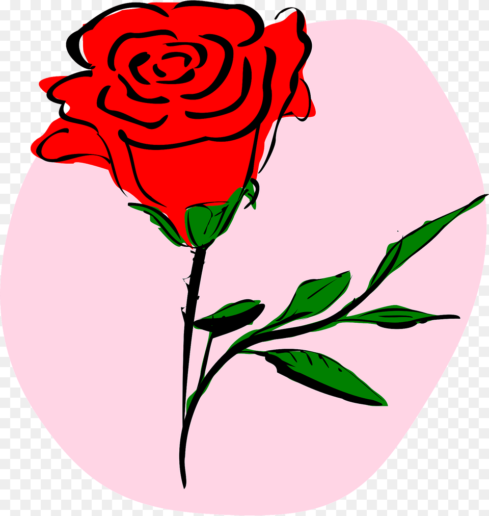 Red Rose Clipart, Flower, Plant Png