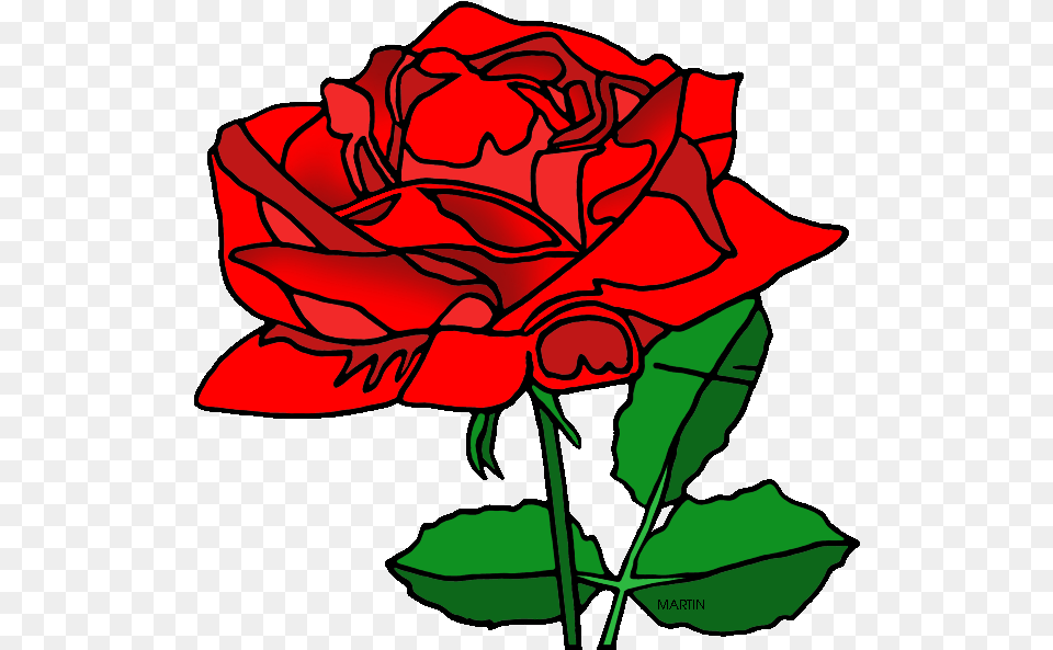 Red Rose Clipart American Beauty Phillip Martin Flower American Beauty Rose Clipart, Plant Free Transparent Png