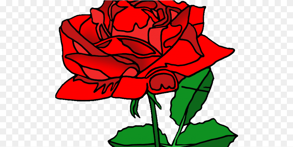 Red Rose Clipart American Beauty Washington Dental Health Care Martin Phillip S Dds, Flower, Plant, Baby, Person Png