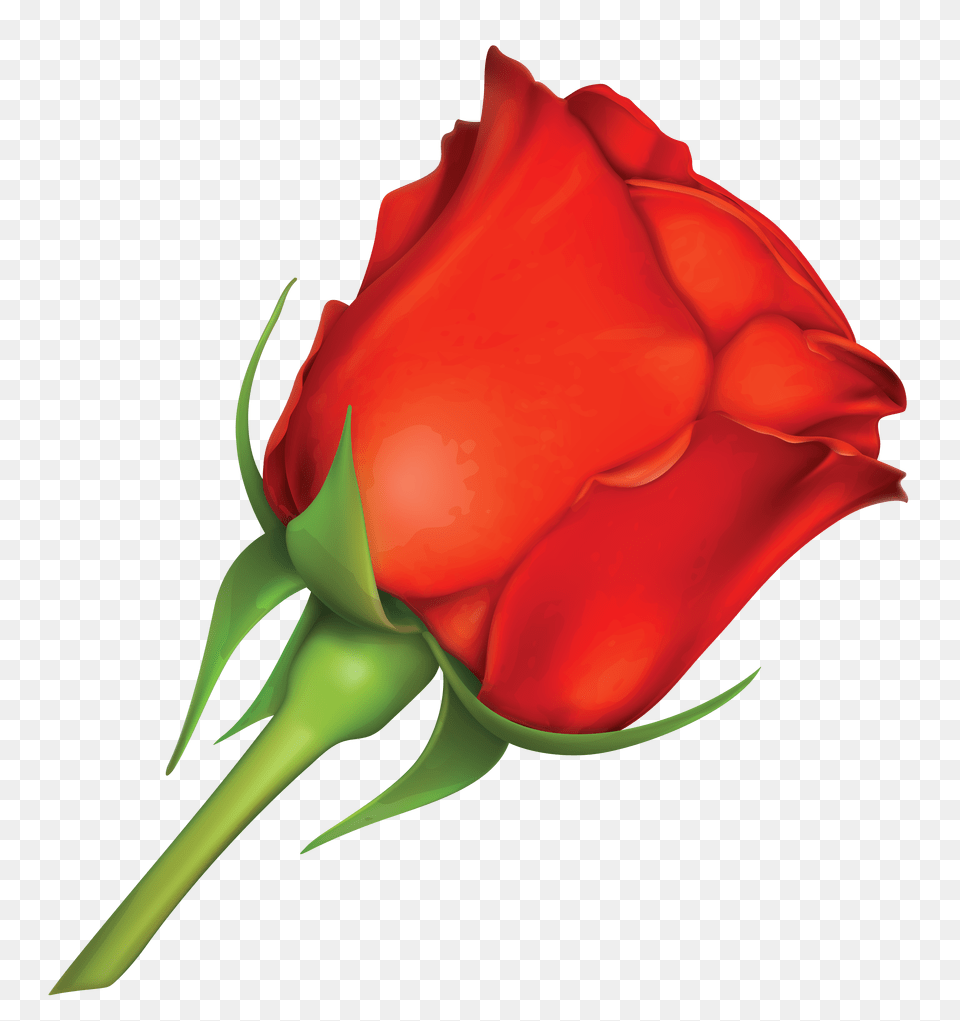 Red Rose Clipart Large, Flower, Plant Free Transparent Png