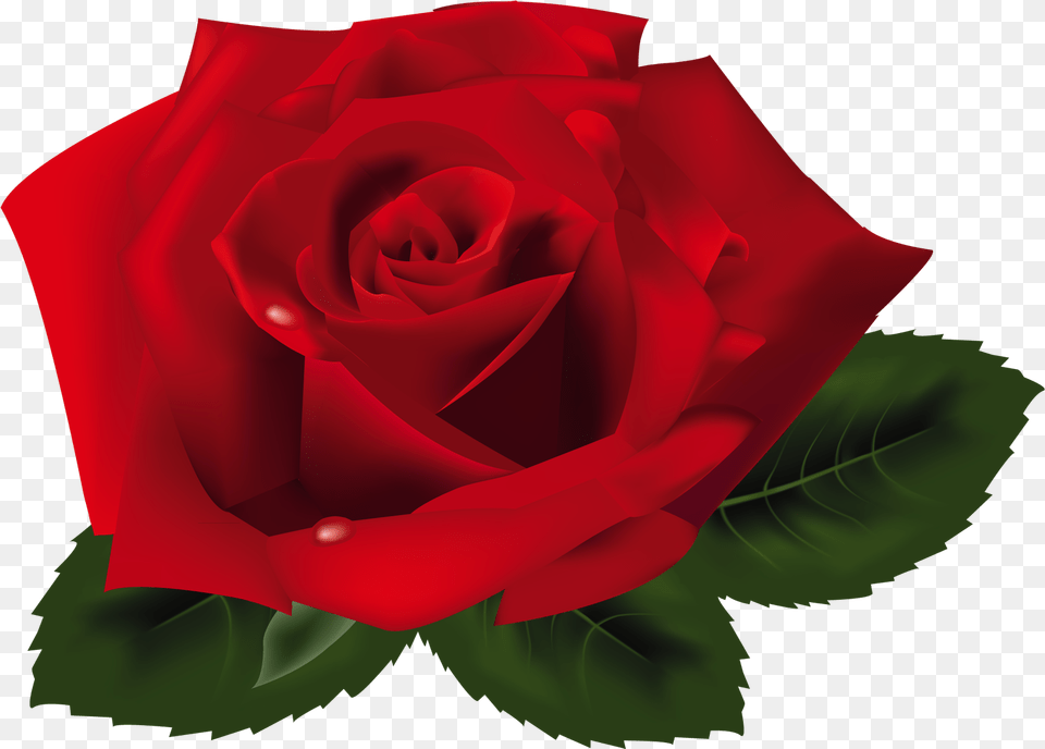 Red Rose Clipart Rosa, Flower, Plant Free Transparent Png