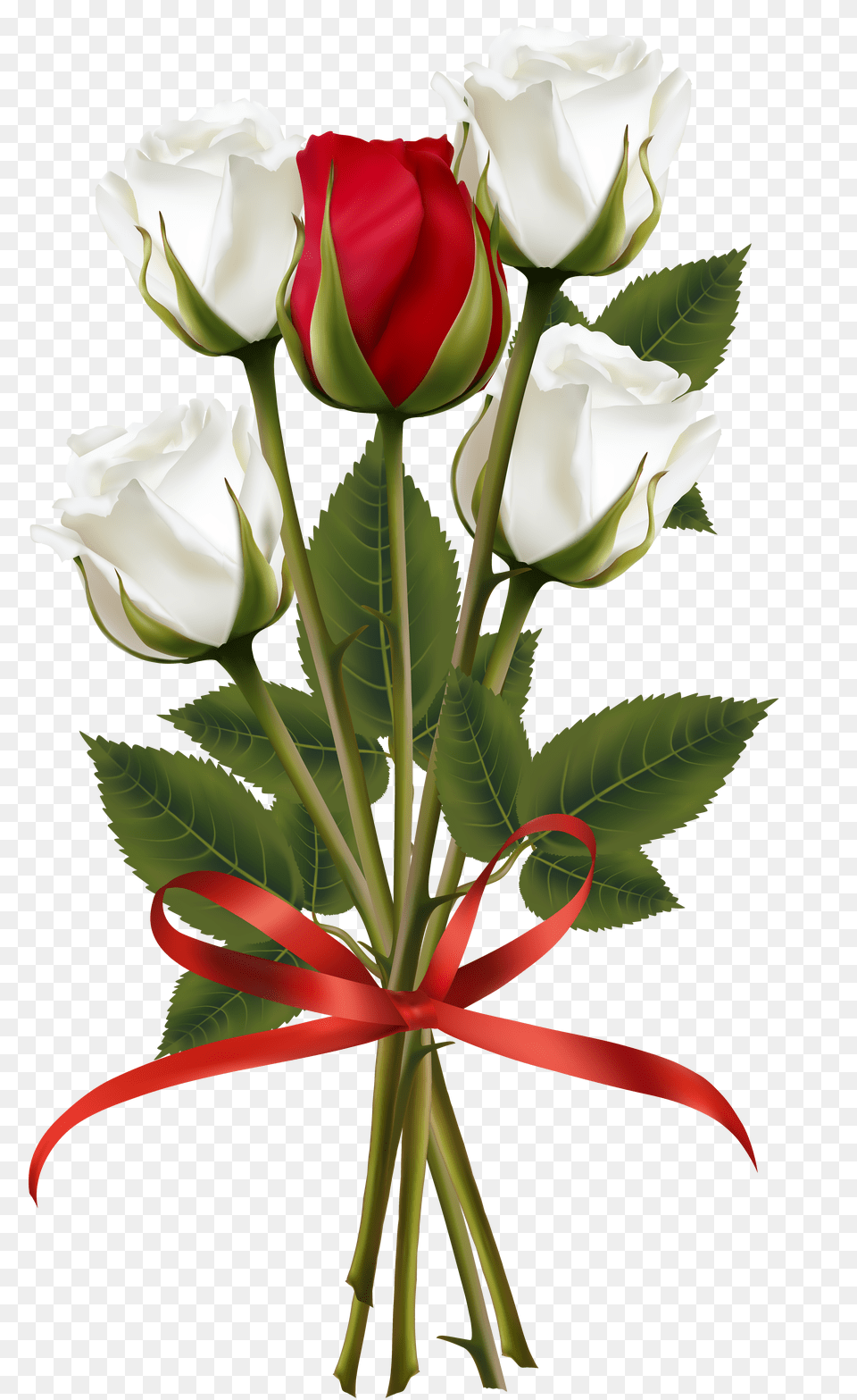 Red Rose Clipart Rose Bouquet Png