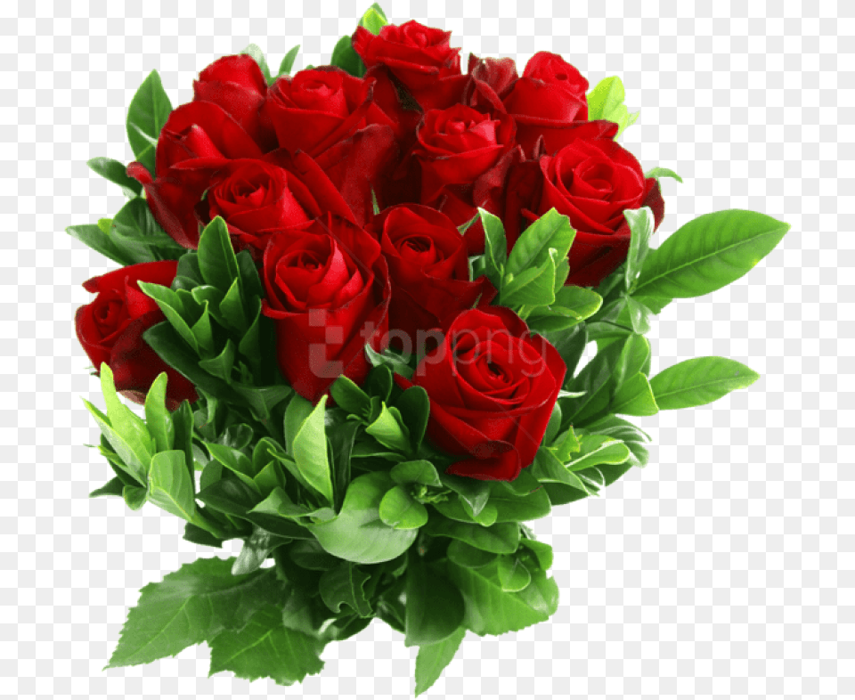 Red Rose Clipart Rose Flower Bouquet, Flower Arrangement, Flower Bouquet, Plant Png Image