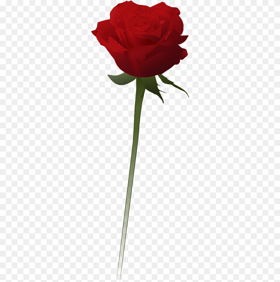 Red Rose Clipart Vector Rose Vector Clipart, Flower, Plant Free Png