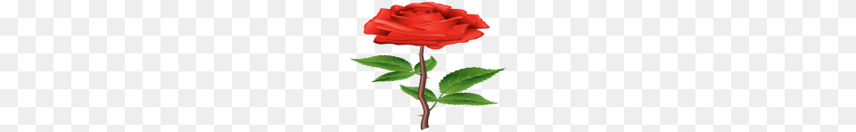 Red Rose Clipartimage, Flower, Plant, Leaf, Dynamite Png