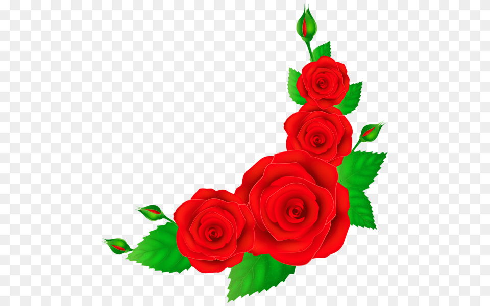 Red Rose Corner Otkrytka, Art, Flower, Graphics, Plant Png Image