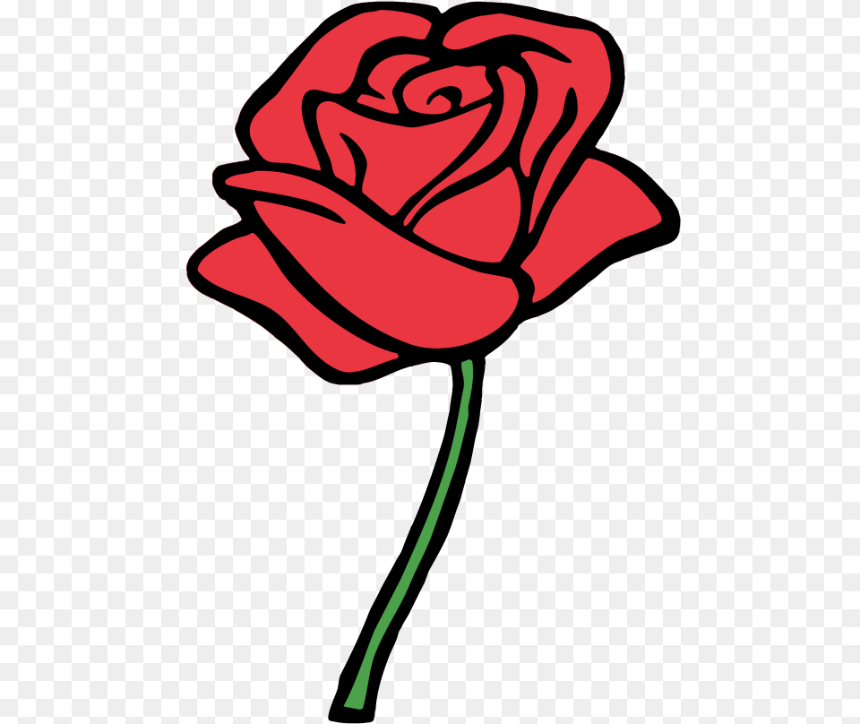 Red Rose Drawing Easy, Flower, Plant Png Image