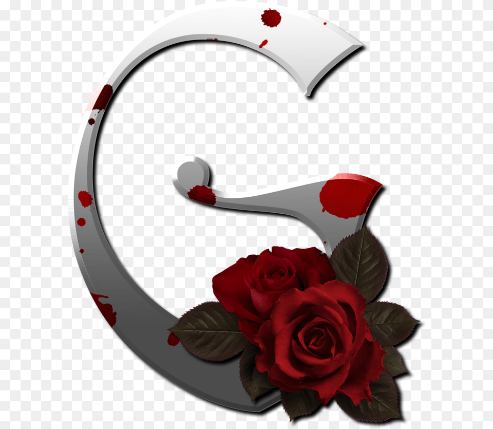 Red Rose F Letter Rose, Flower, Plant Free Png