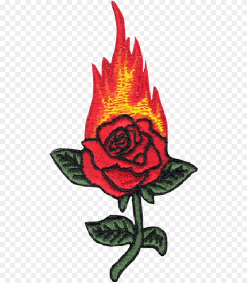 Red Rose Fair Green Flower Tumblr Freetoedit Rose On Fire Drawing, Plant, Leaf, Pattern, Baby Png Image