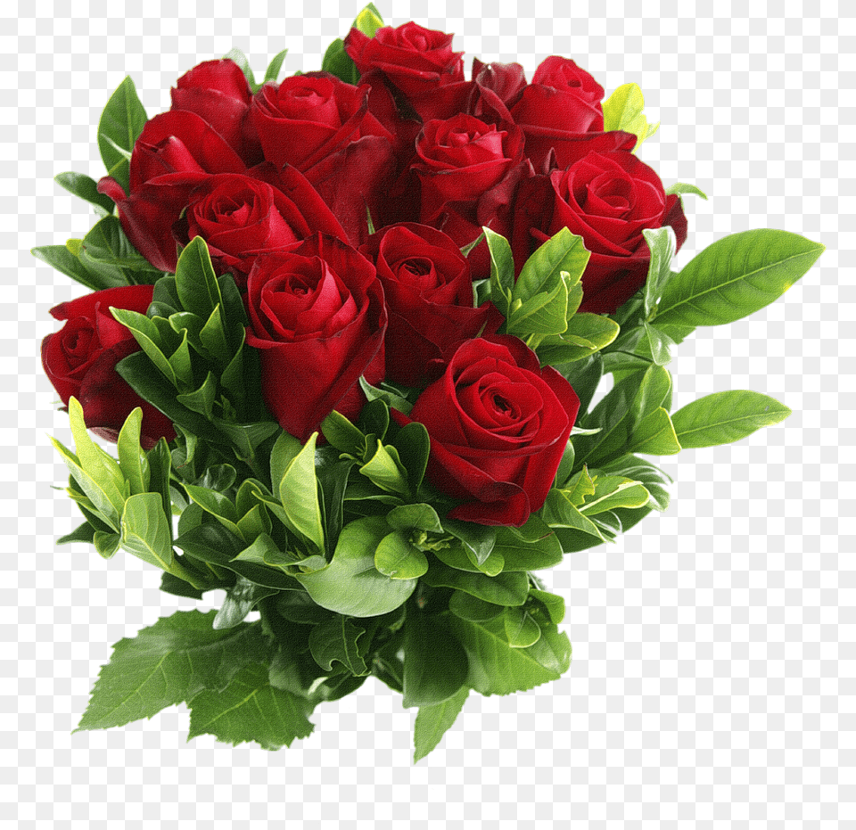 Red Rose Flower, Flower Arrangement, Flower Bouquet, Plant Free Transparent Png