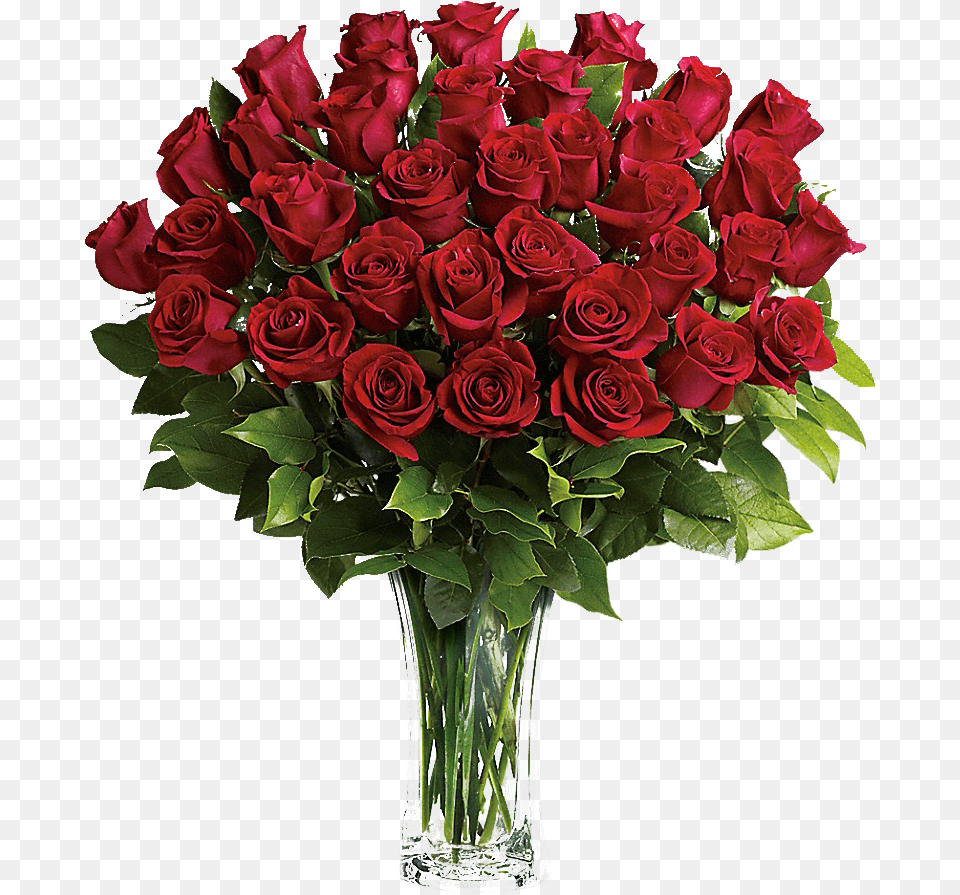 Red Rose Flower Bokeh, Flower Arrangement, Flower Bouquet, Plant, Art Free Png