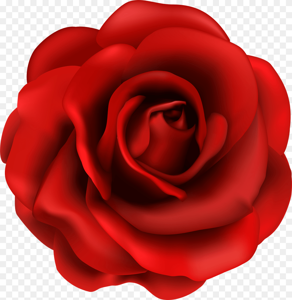 Red Rose Flower Clipart Image Red Rose Clipart Png