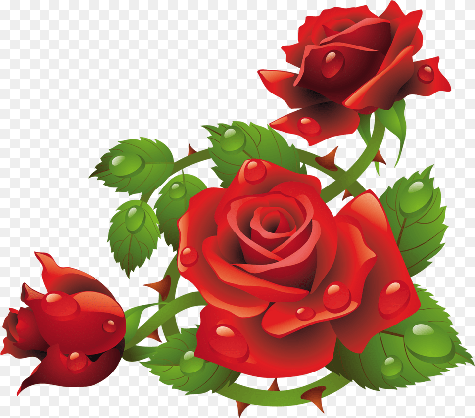 Red Rose Flower Frame Roses Frame, Plant Png