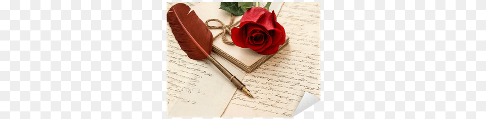 Red Rose Flower Old Letters And Antique Feather Pen Special Thanks To Love, Petal, Plant, Text Png Image