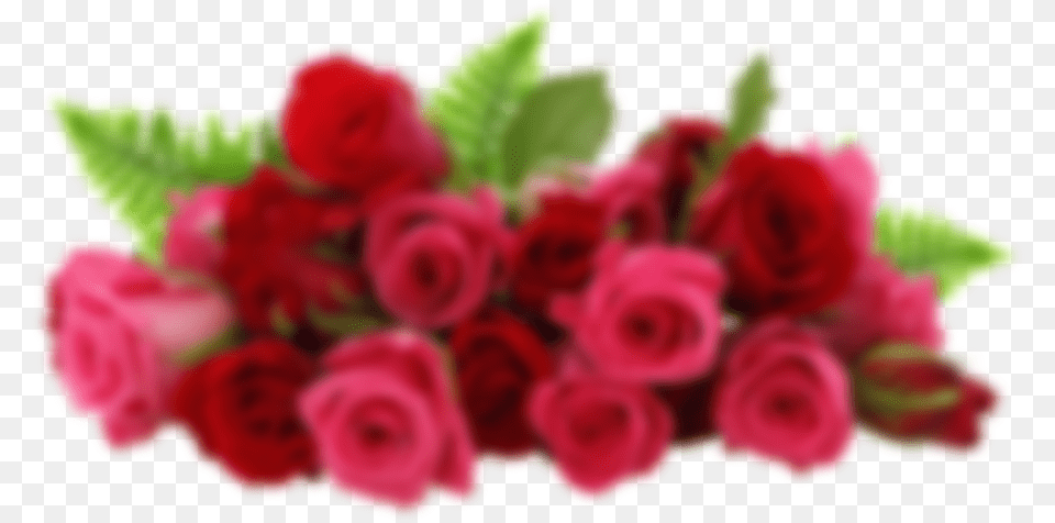 Red Rose Garden Transparent, Flower, Flower Arrangement, Flower Bouquet, Plant Png