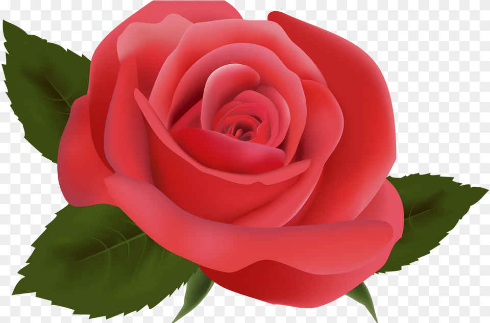 Red Rose Image Clipart Deseos De Migdalia Background Rose, Flower, Plant Free Transparent Png