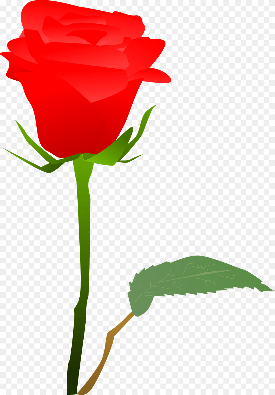 Red Rose On The Stem Clipart, Flower, Plant, Dynamite, Weapon Free Transparent Png