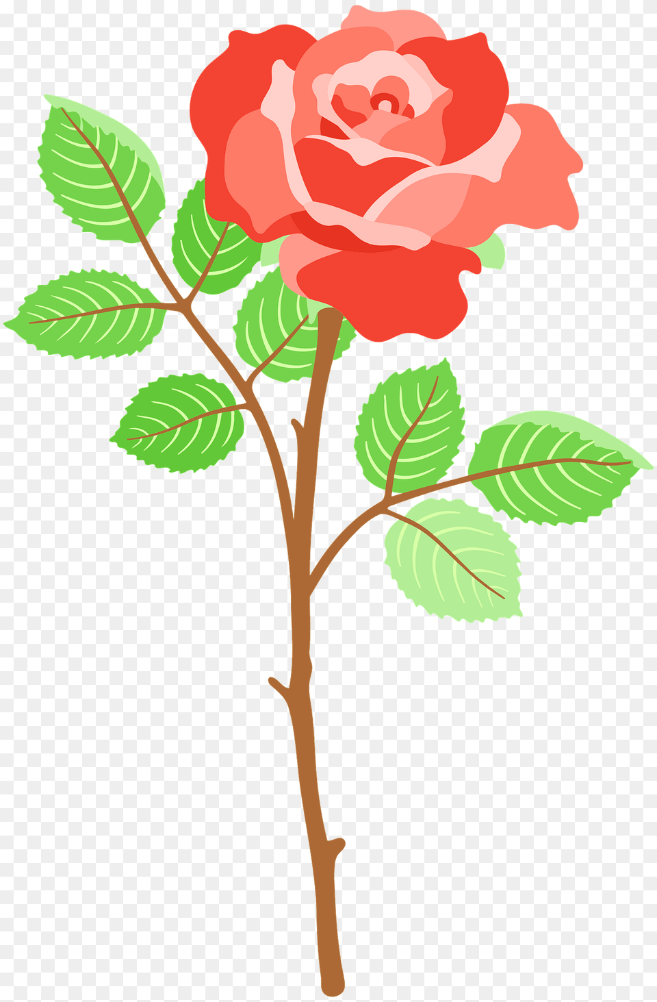 Red Rose On The Stem Clipart, Flower, Plant, Pattern, Art Png
