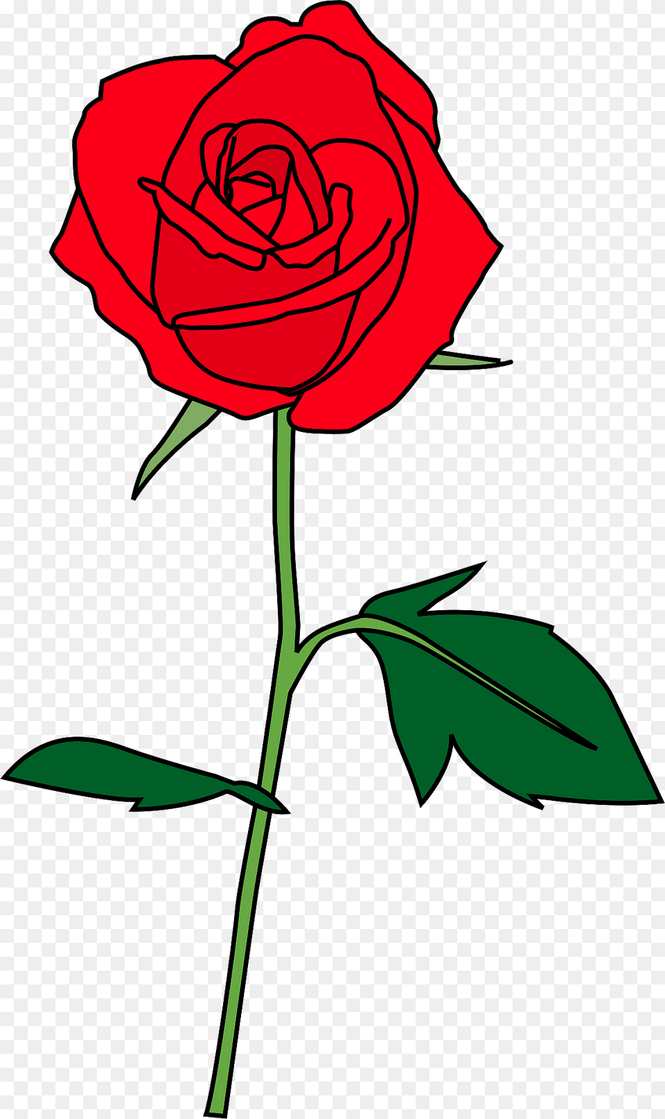 Red Rose On The Stem Clipart, Flower, Plant Png Image