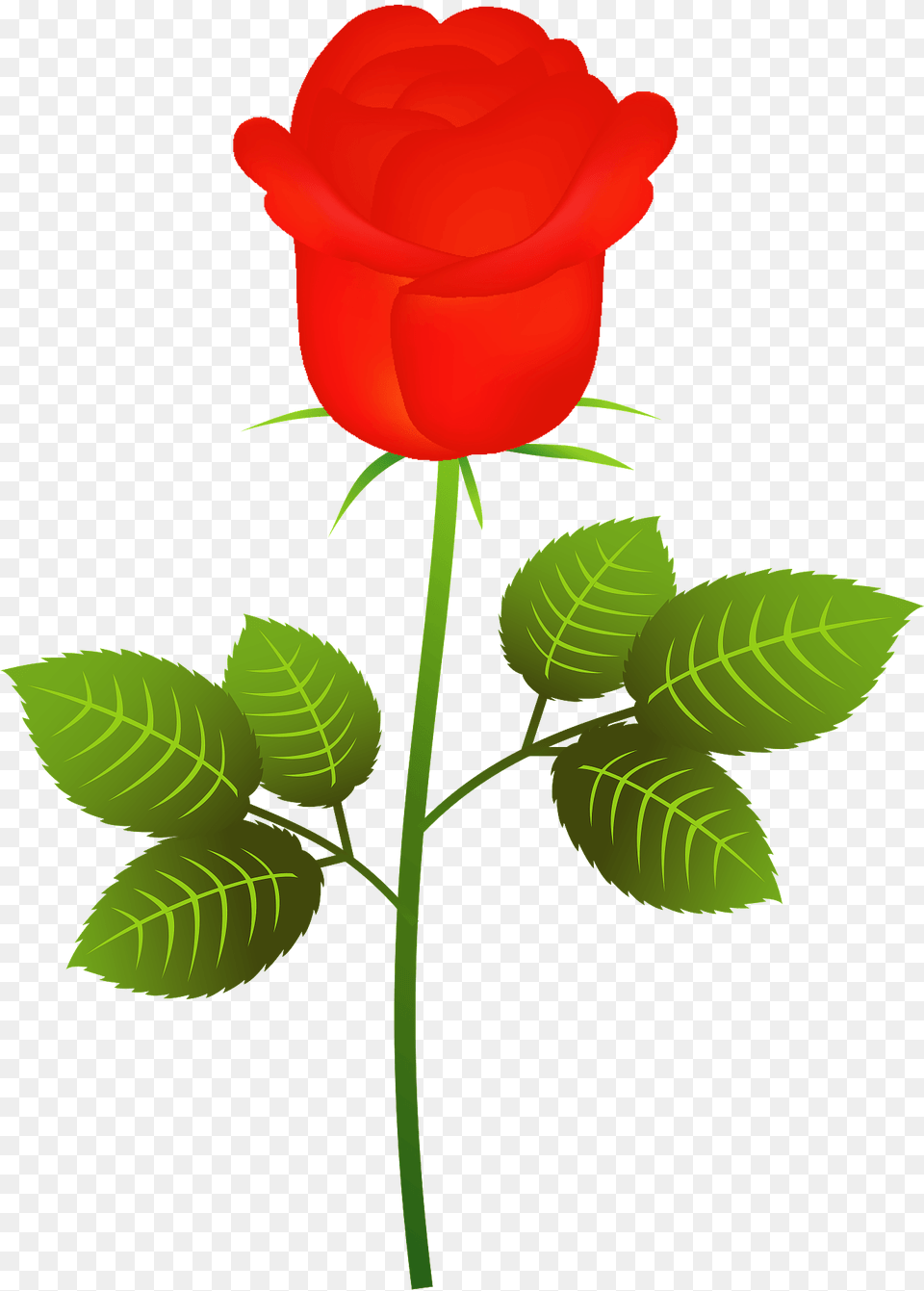 Red Rose On The Stem Clipart, Flower, Plant, Leaf Png