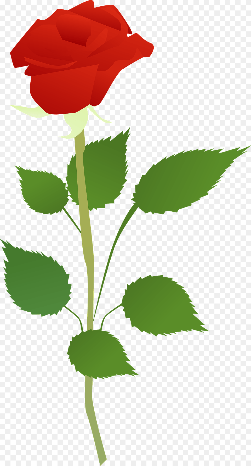 Red Rose On The Stem Clipart, Flower, Plant, Dynamite, Weapon Free Png Download