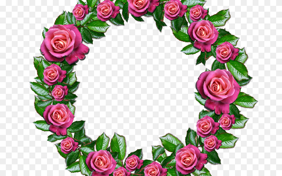 Red Rose Petals, Flower, Plant, Flower Arrangement, Pattern Png