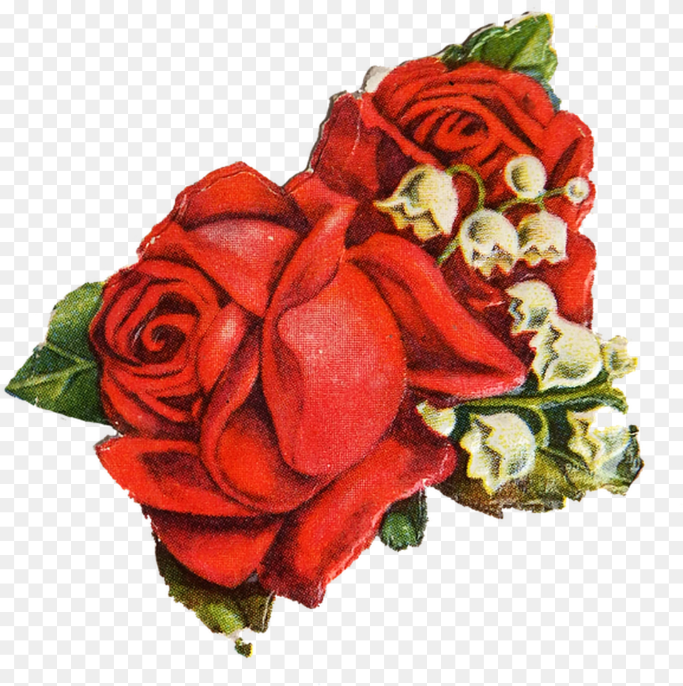 Red Rose Rose Vintage, Flower, Flower Arrangement, Flower Bouquet, Plant Free Png Download