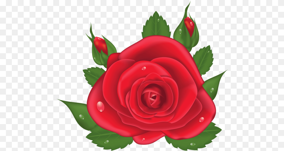 Red Rose Roses Love Clip Art Plants Flores Vermelha Desenho, Flower, Plant Free Png