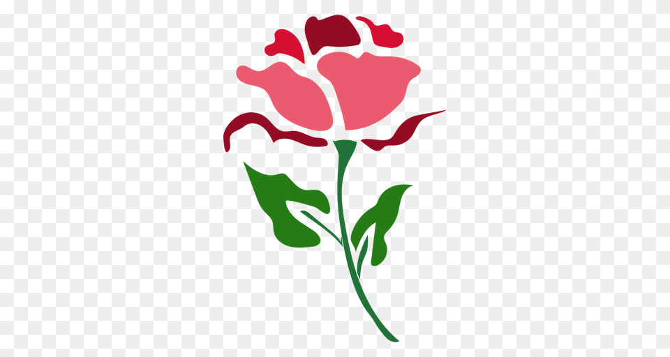 Red Rose Stem Icon, Flower, Plant, Carnation, Petal Free Png Download