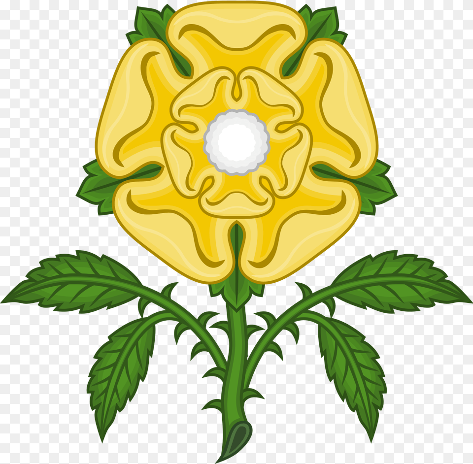 Red Rose Symbol Of England, Flower, Plant, Petal, Leaf Png