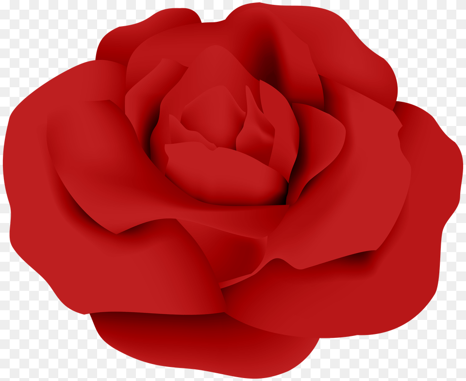 Red Rose Transparent Clip, Flower, Plant Png Image