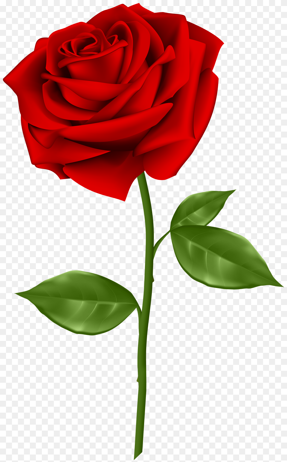 Red Rose Transparent Clip, Flower, Plant Free Png Download