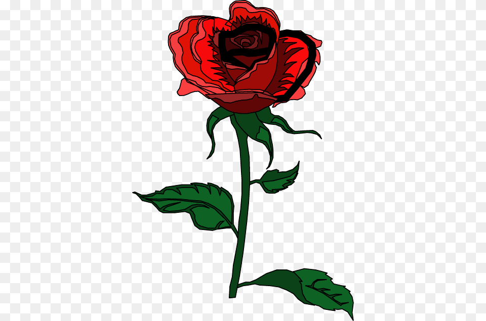 Red Rose Vector Happy Mothers Day Rose Gifs, Flower, Plant, Person Png