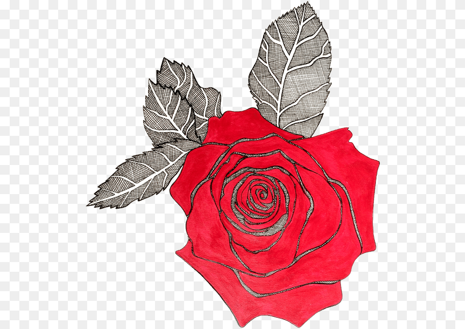 Red Rose With Black Lining, Flower, Leaf, Plant, Petal Free Transparent Png