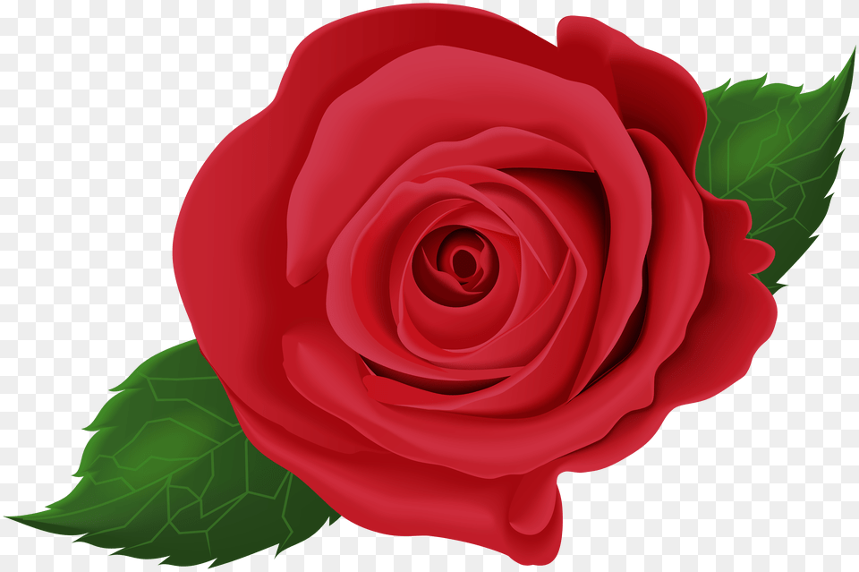 Red Rose With Leaves Clip Art, Flower, Plant Free Png Download
