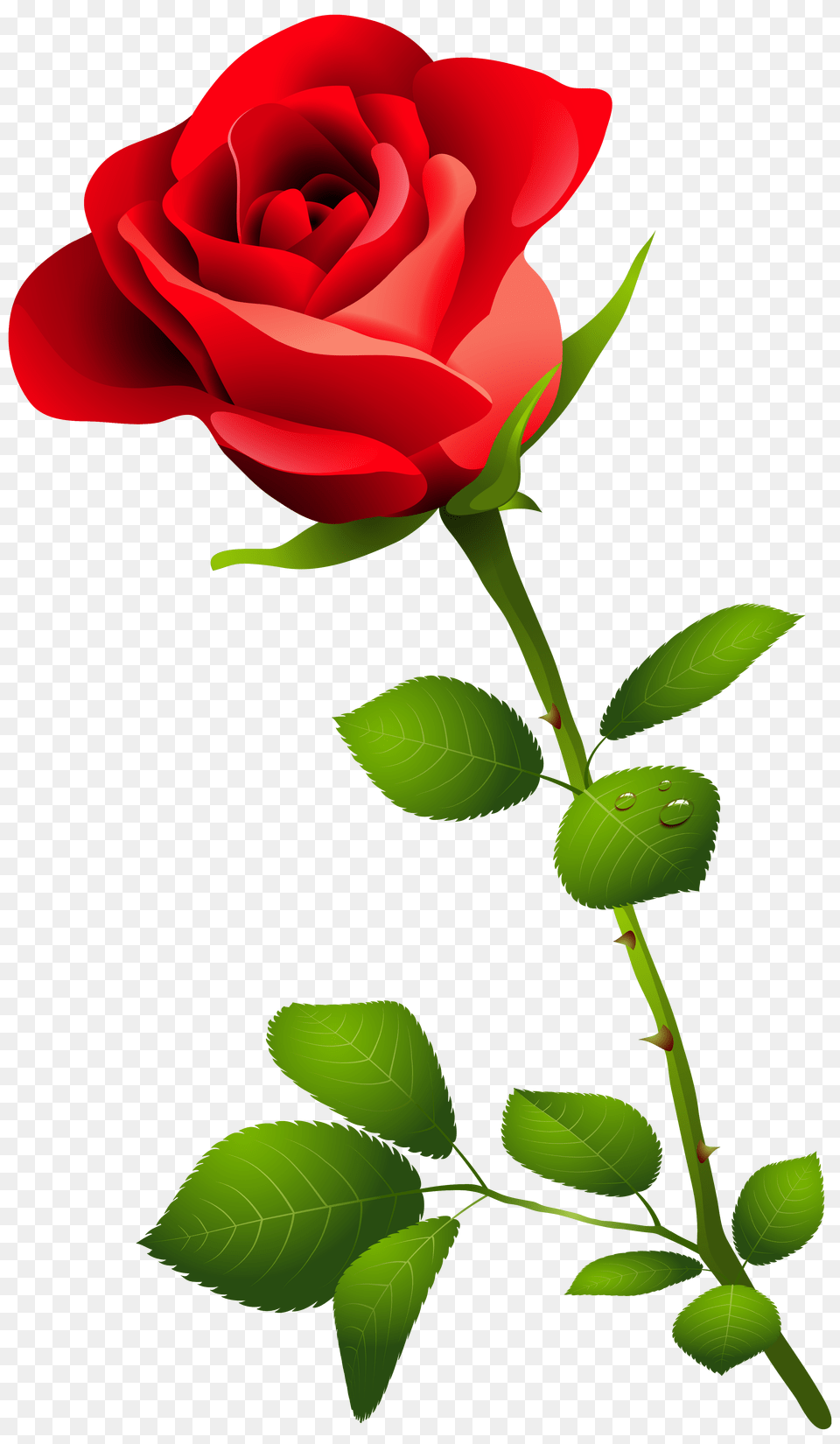 Red Rose With Stem Clipart, Flower, Plant Free Transparent Png