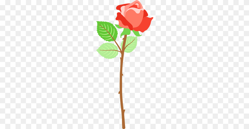 Red Rose With Thorns, Flower, Plant, Leaf, Cross Free Png