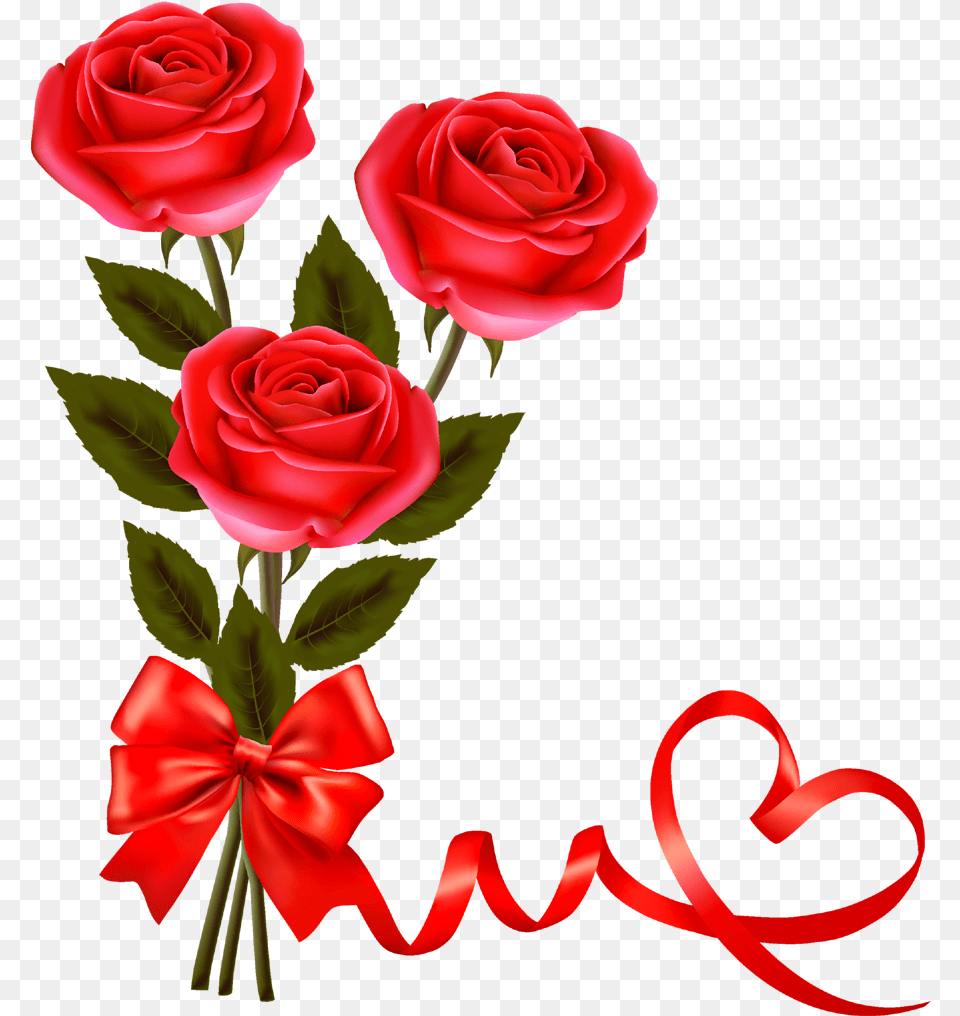 Red Roseflowerfreepngtransparentimagesfreedownload Rose Hd, Flower, Plant, Flower Arrangement, Flower Bouquet Png Image