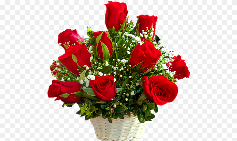 Red Roses Basket Red Rose Flower Transparent Background, Flower Arrangement, Flower Bouquet, Plant, Pattern Free Png