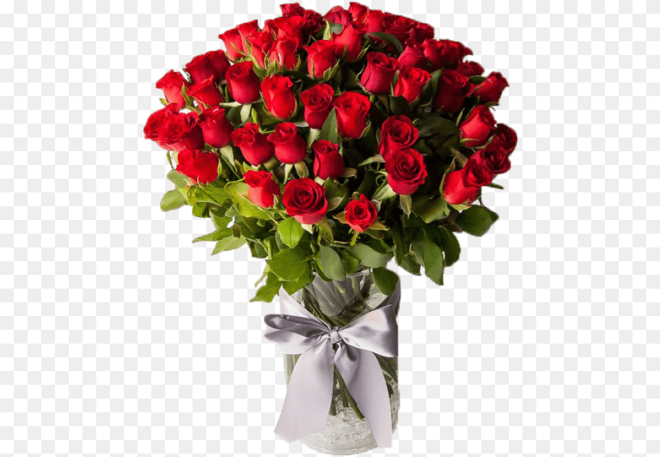 Red Roses Beautiful Rose For Her, Flower, Flower Arrangement, Flower Bouquet, Plant Free Transparent Png