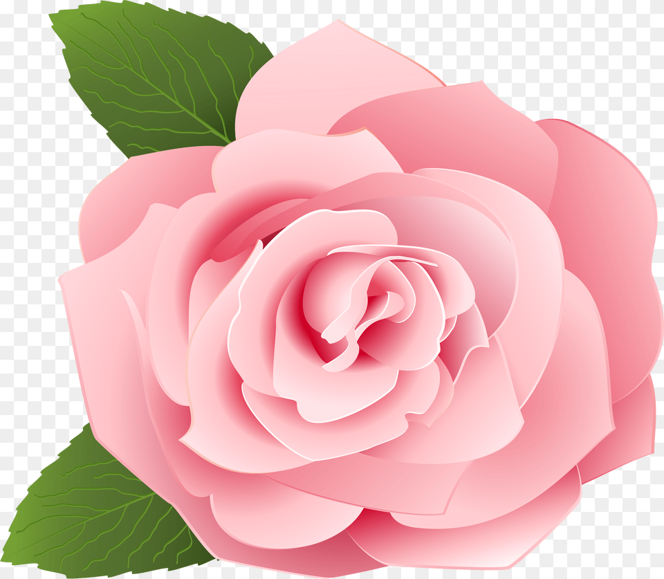 Red Roses Border Free Png Download