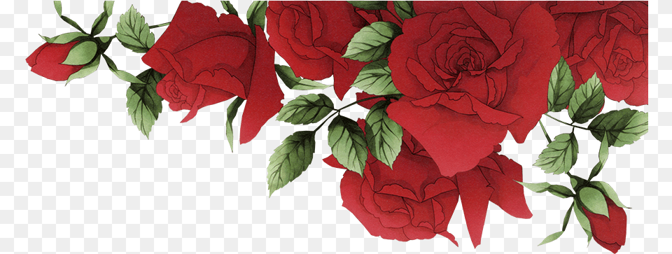 Red Roses Border, Flower, Plant, Rose, Art Free Png