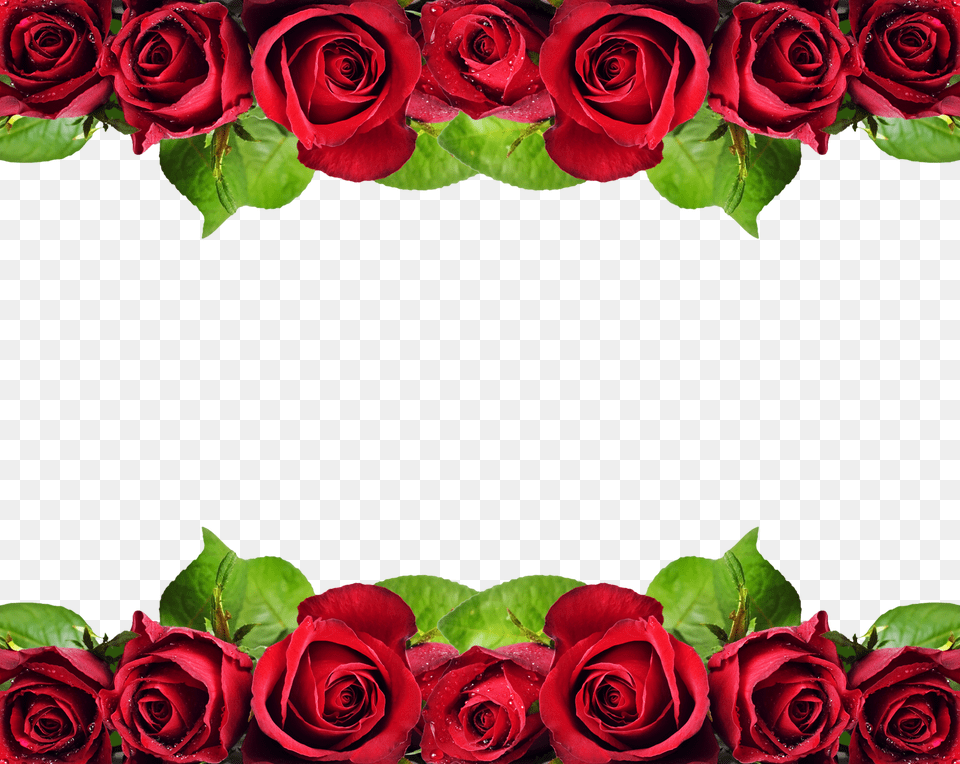 Red Roses Border Design, Flower, Flower Arrangement, Flower Bouquet, Plant Free Png Download