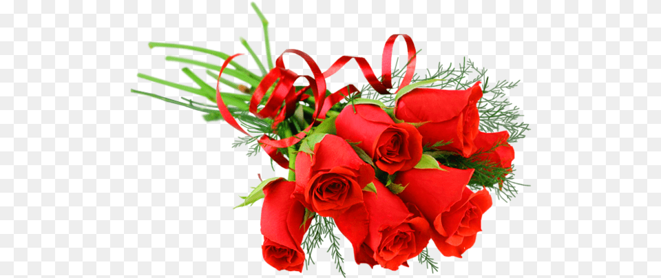 Red Roses Bouquet Rose Flower Bouquet, Flower Arrangement, Flower Bouquet, Plant Free Transparent Png